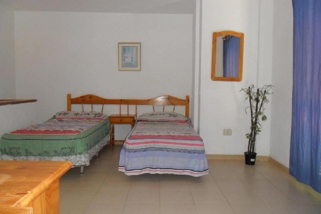Apartamentos Alondras Park Costa Del Silencio Eksteriør bilde